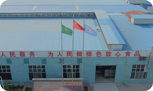 河南東風電力工程有限公司